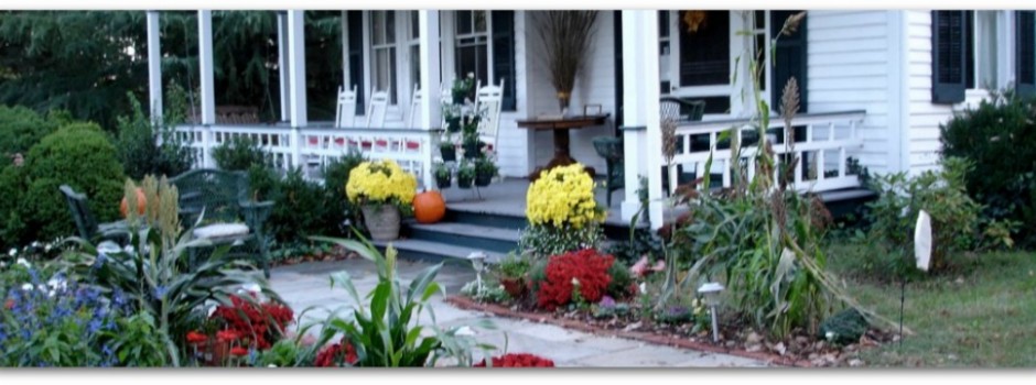 Fall Mums at the Inn on Poplar Hill,  Orange, VA Bed and Breakfast