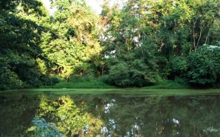 Pond at the Inn on Poplar Hill in Orange Virginia