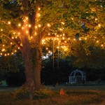 lighted linden tree at Virginia B&B