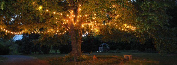 lighted linden tree at Virginia B&B