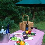 picnic at Orange Virginia bed and breakfast