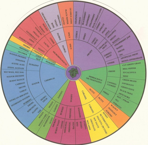 Wine tour tasting wheel