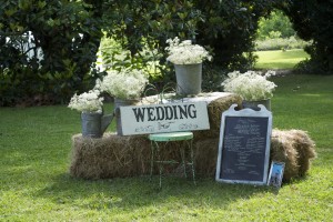 Virginia Garden wedding